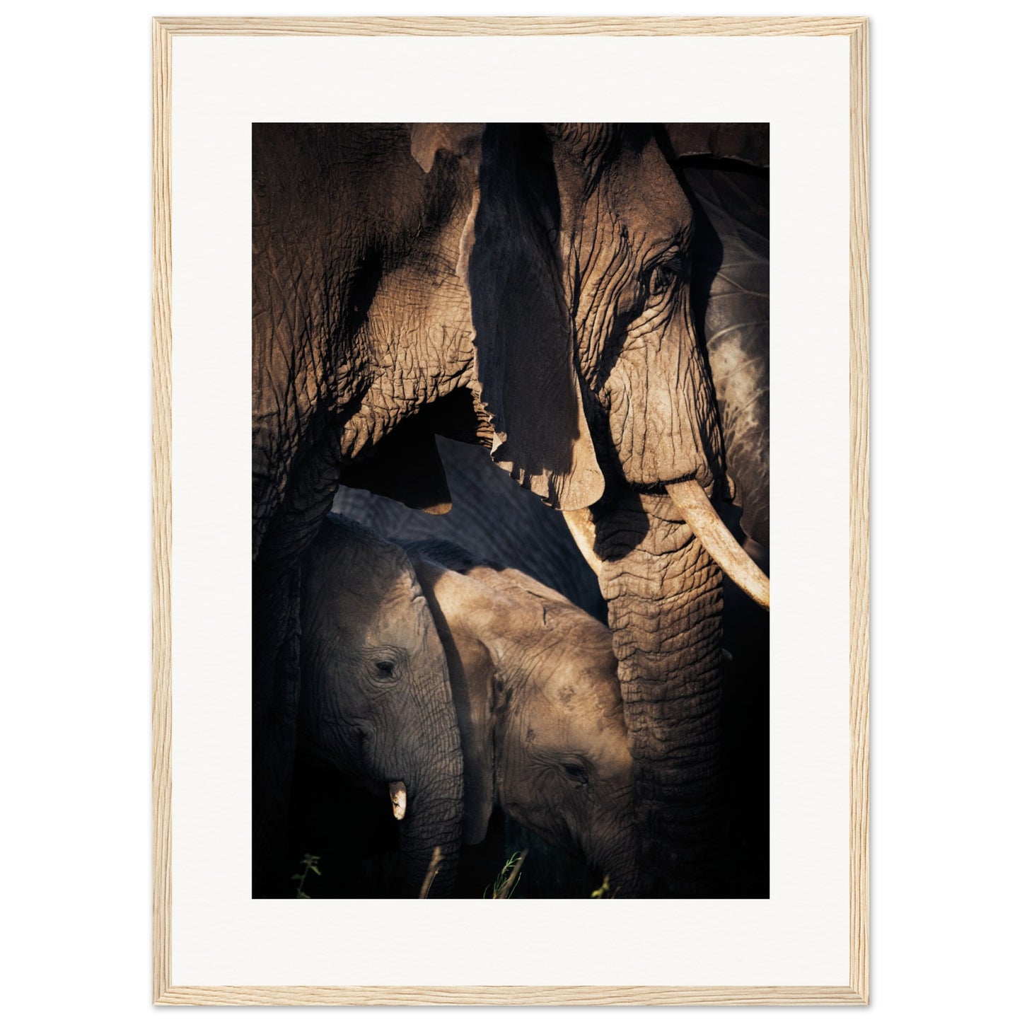 Serengeti Elephant