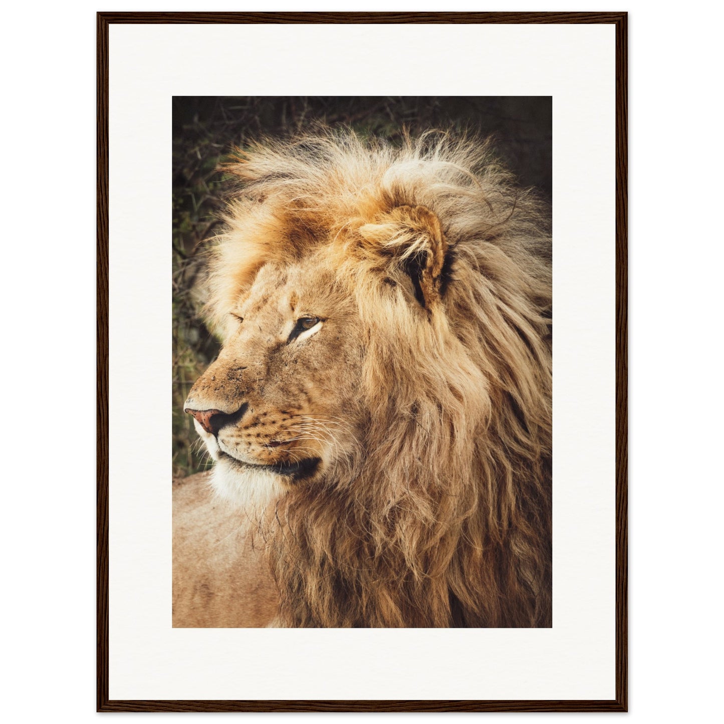 Ngorongoro Ndutu Leo