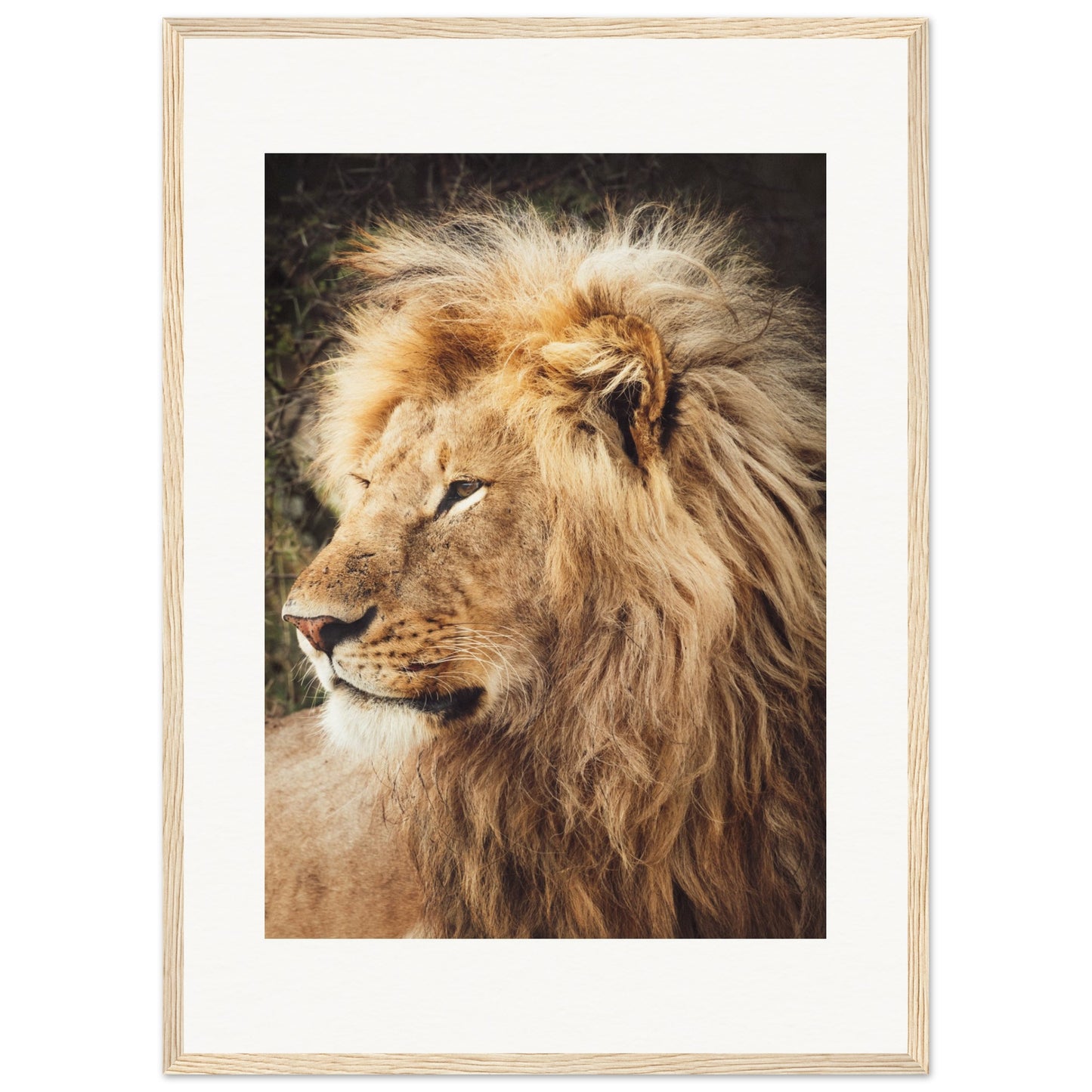 Ngorongoro Ndutu Leo