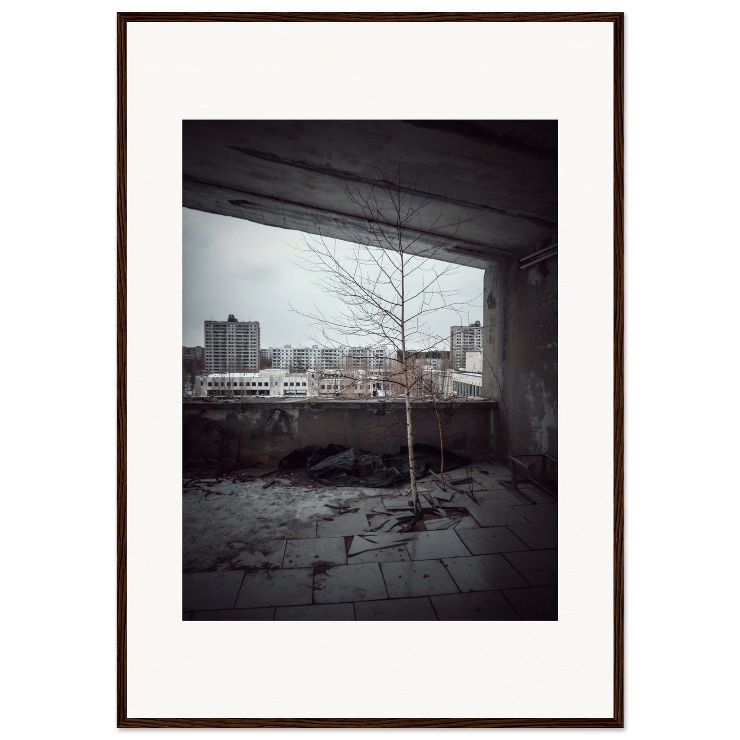 Polissya Hotel Tree – Chernobyl