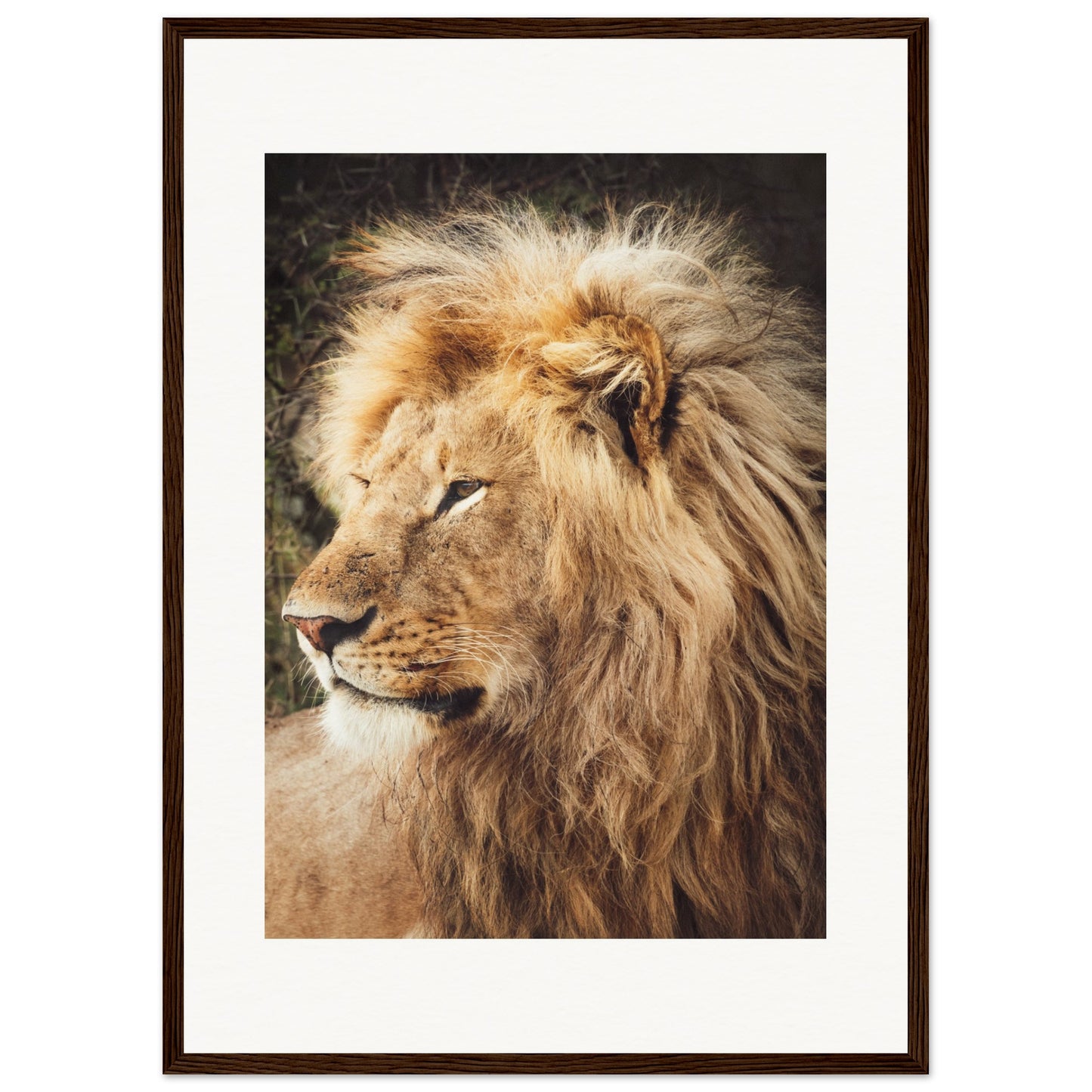 Ngorongoro Ndutu Leo