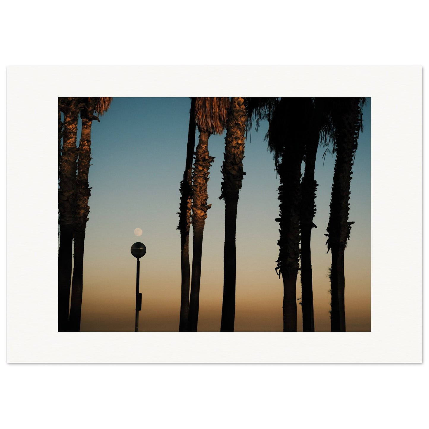 Shapes of Barcelona 05