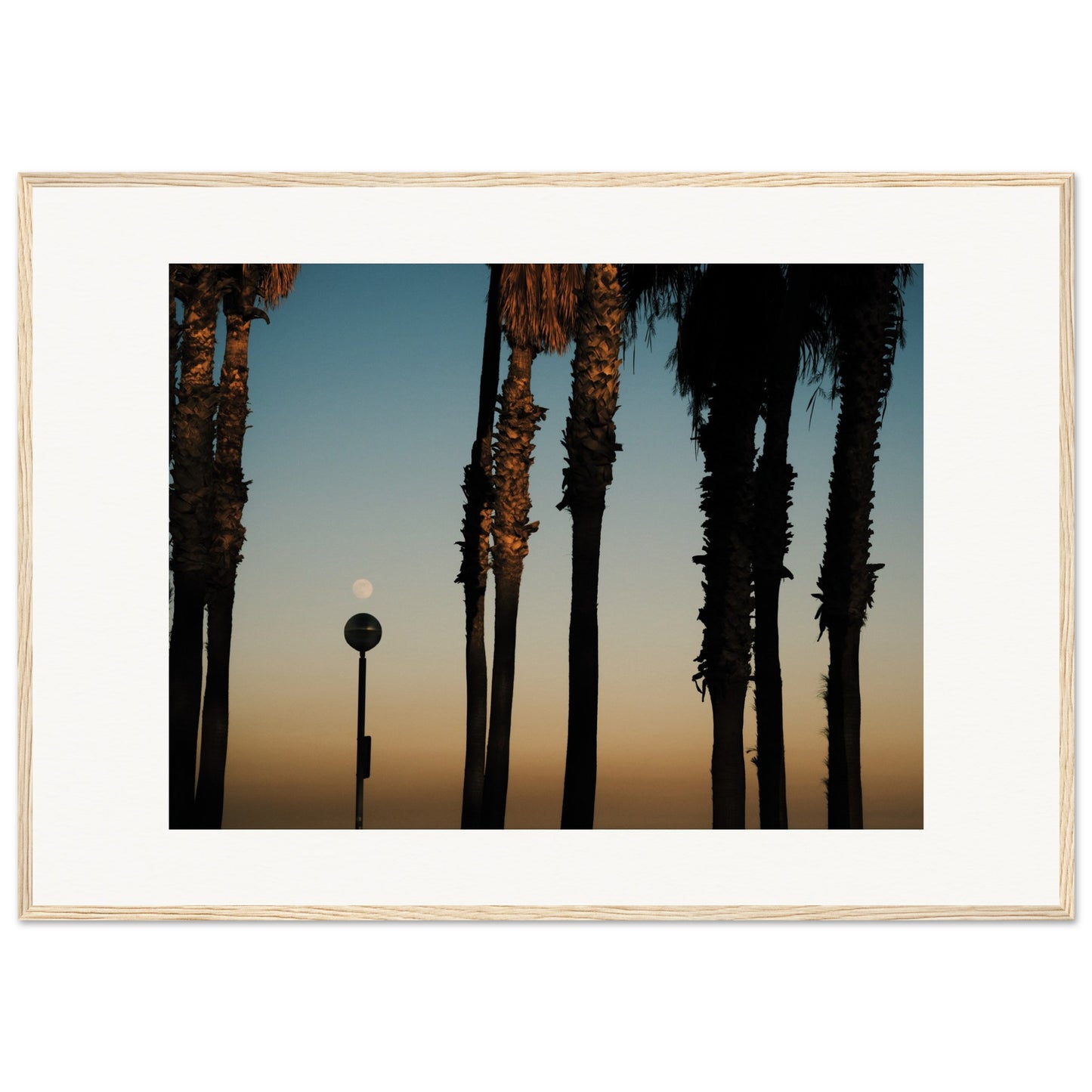 Shapes of Barcelona 05