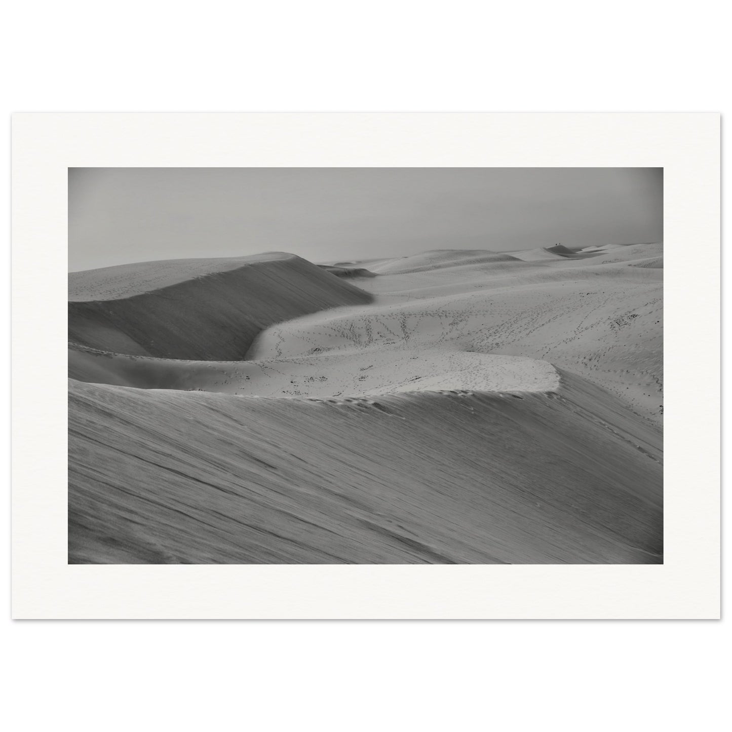 Dunes de sable